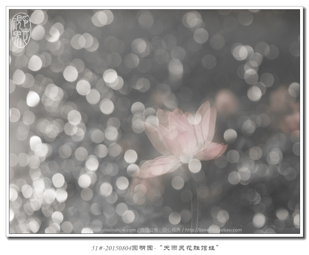 51#-20150804圆明园-“天雨灵花胜馆娃”