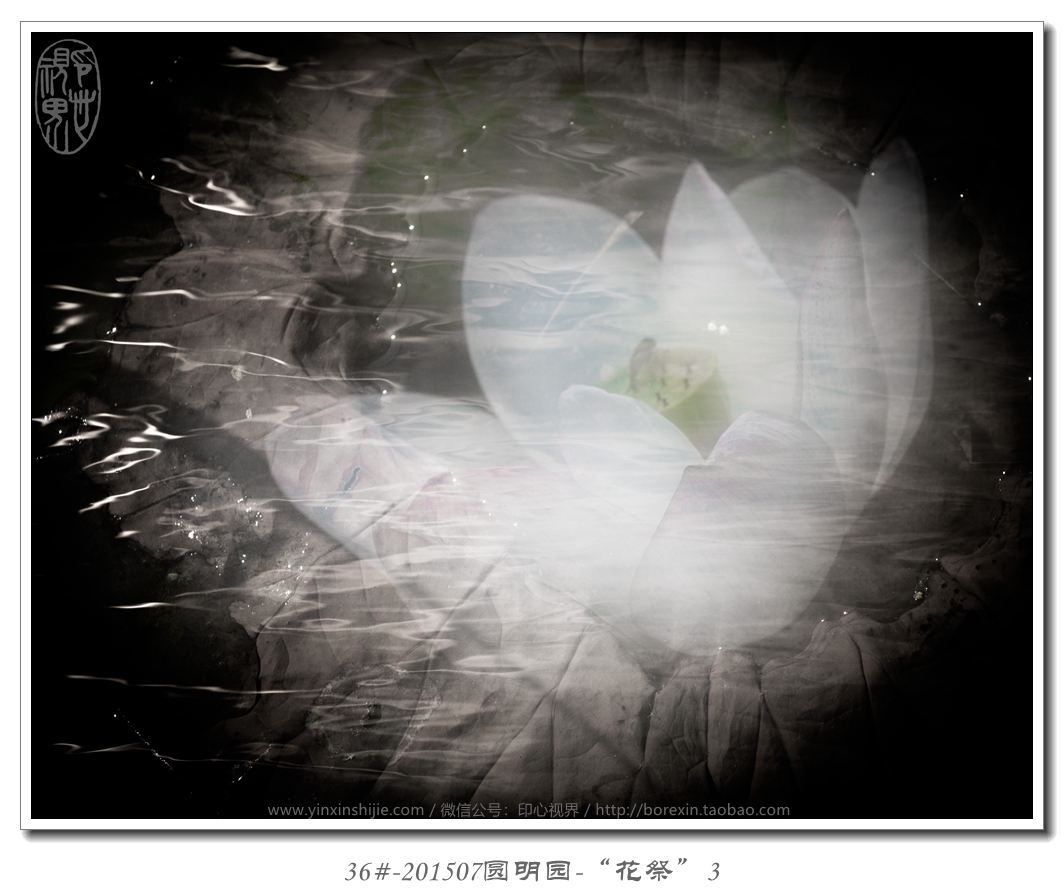 36#-201507圆明园-“花祭”