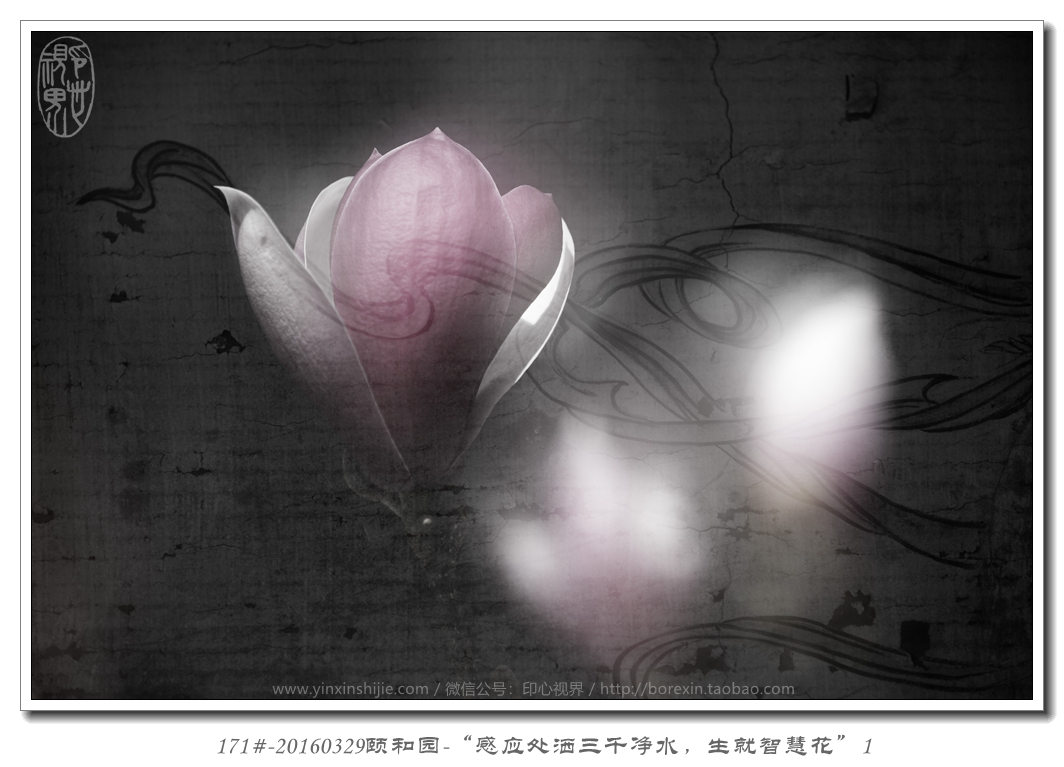 171#-20160329颐和园-“感应处洒三千净水，生就智慧花”1