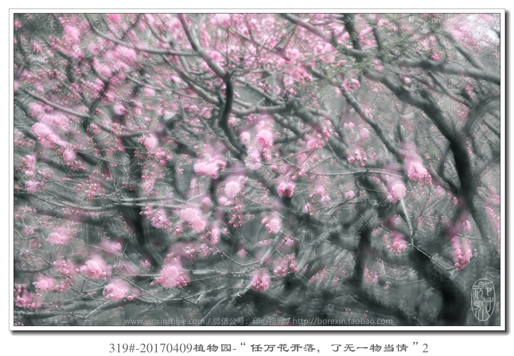 319#-20170409植物园-“任万花开落，了无一物当情”2