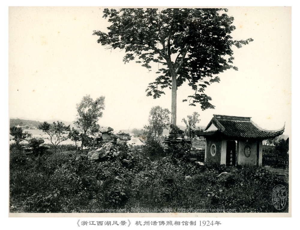 【万卷书】花港观鱼--《浙江西湖风景》杭州活佛照相馆制 1924年