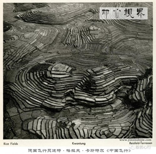 广东的稻田--德国飞行员1936年前后航拍之《中国飞行》