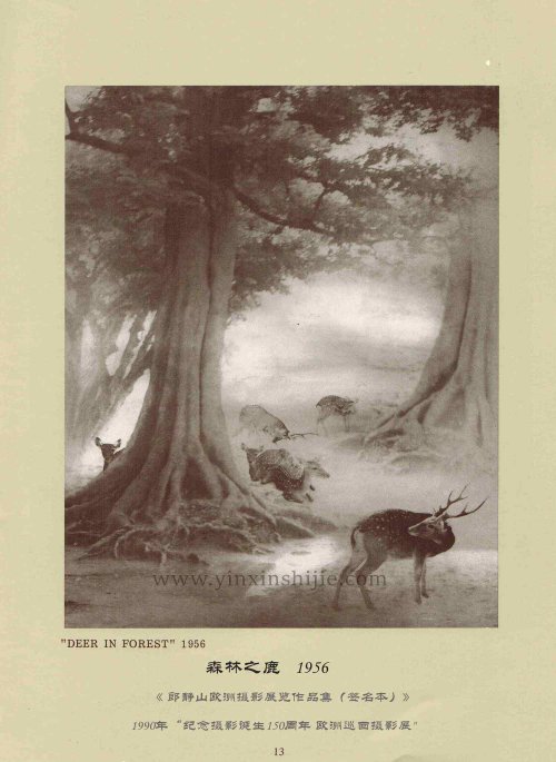 森林之鹿,1956——郎静山欧洲摄影展览作品集（签名本）
