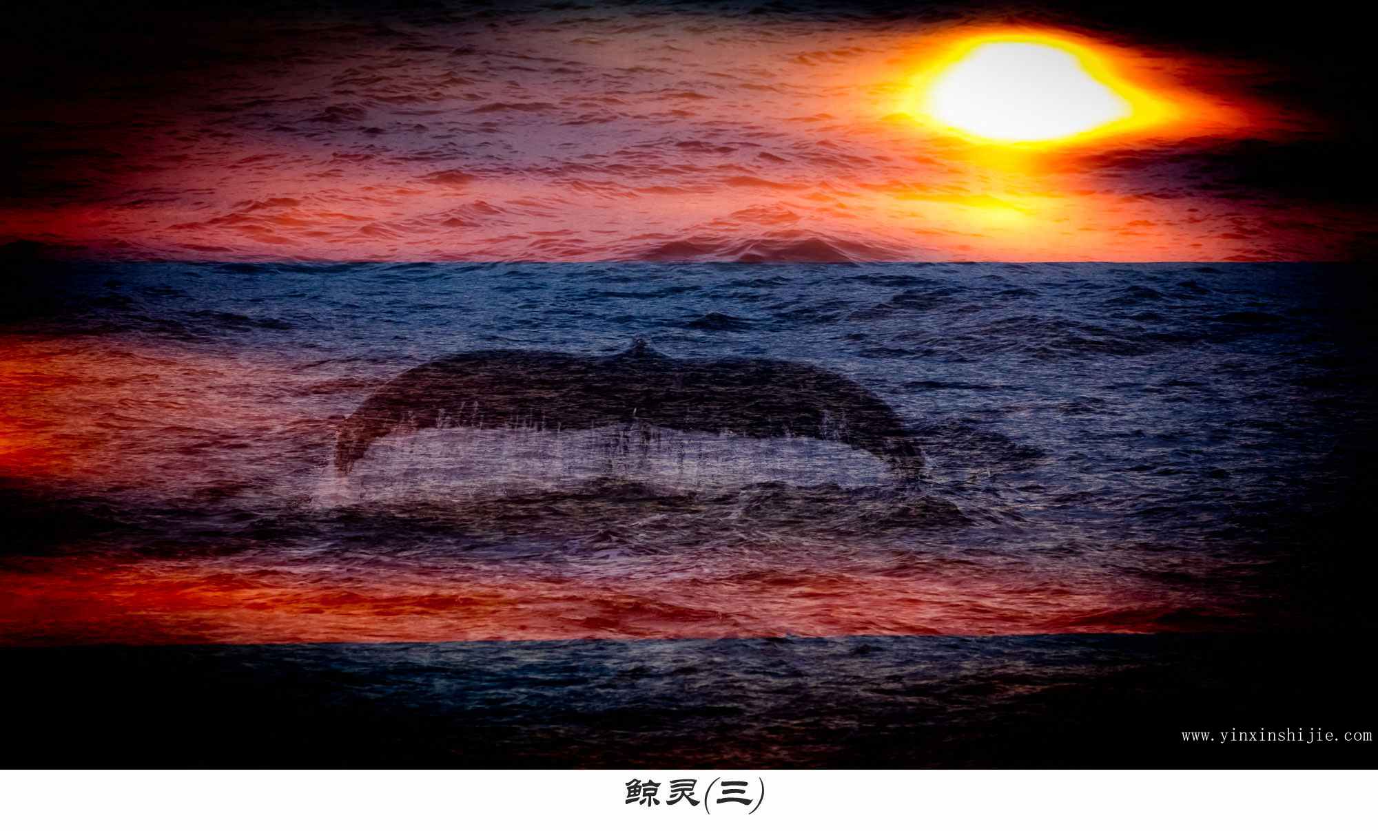 鲸灵(三)——2017南极