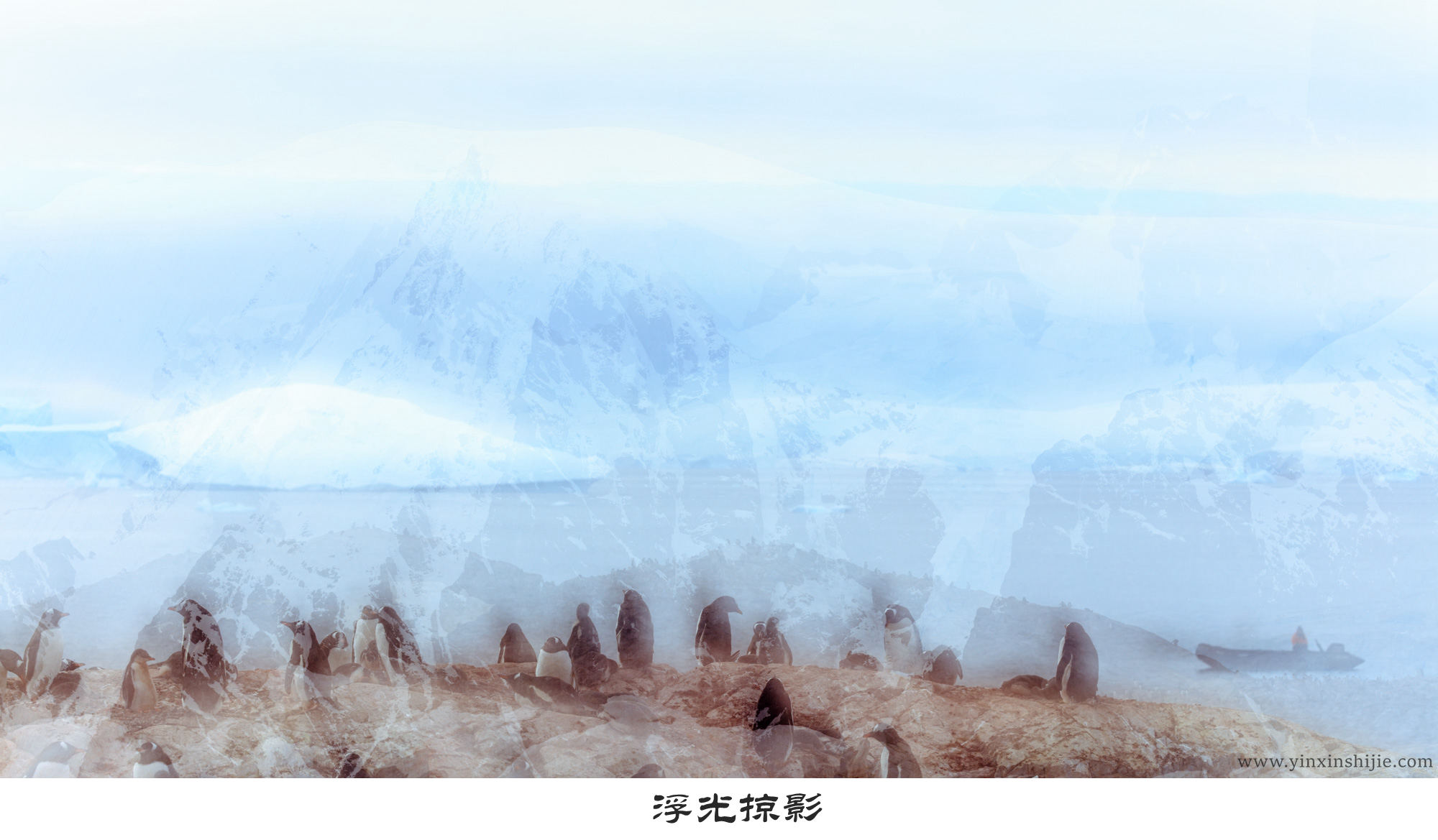 浮光掠影-2017南极企鹅
