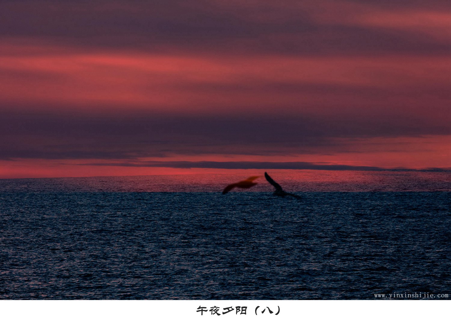 午夜夕阳（八）-2017南极