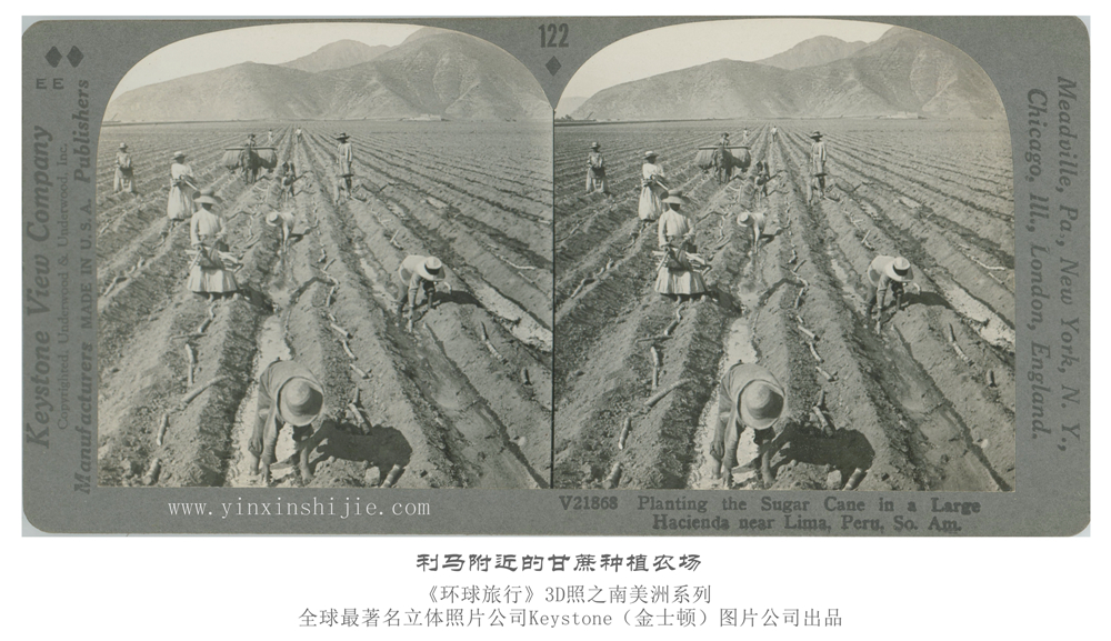 利马附近的甘蔗种植农场-1936年3D版《环球旅行》立体照片