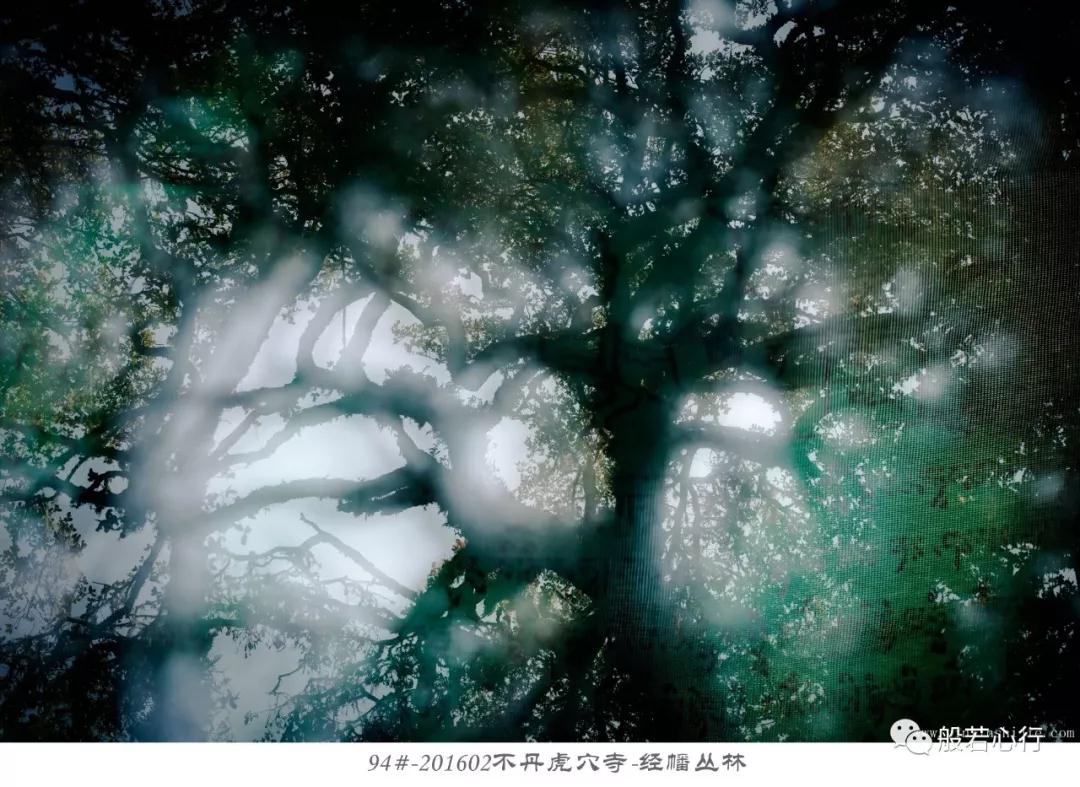 虎穴寺与五色经幡下的“