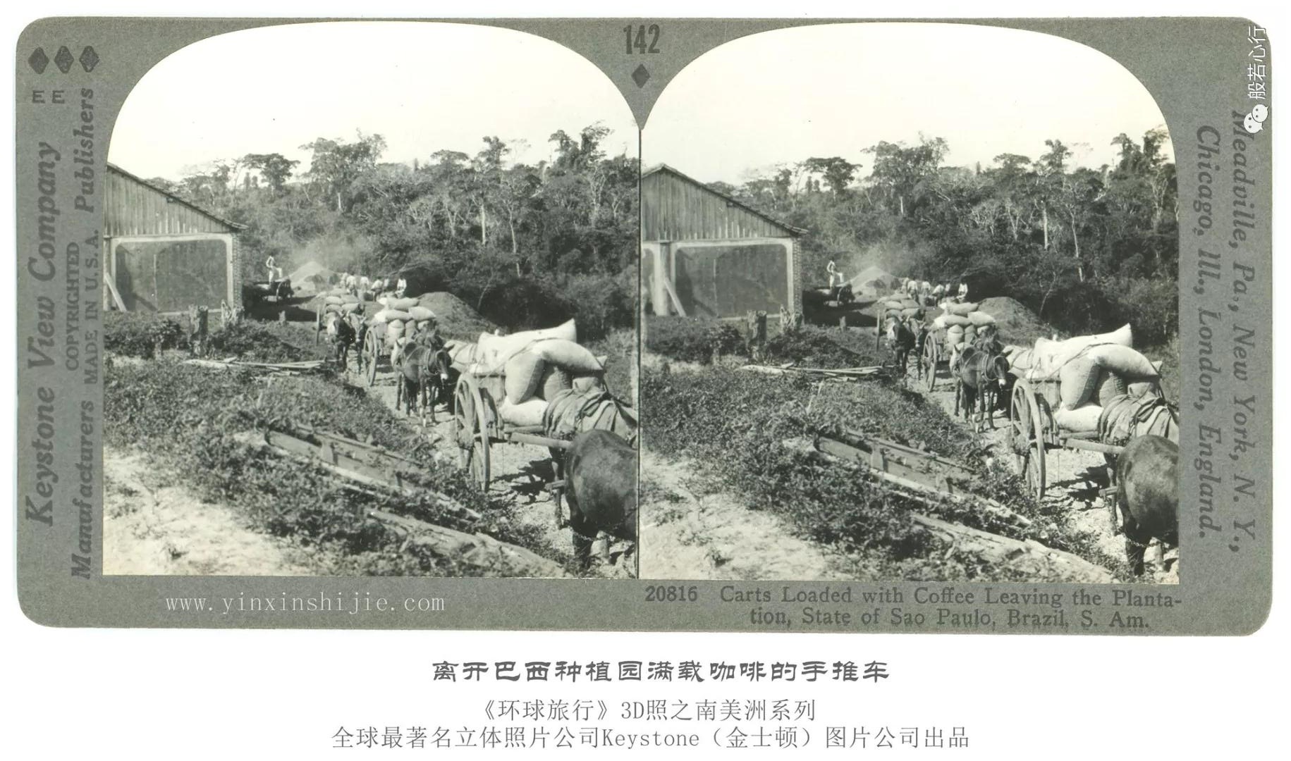 离开巴西种植园满载咖啡的手推车-1936年3D版《环球旅行》立体照片