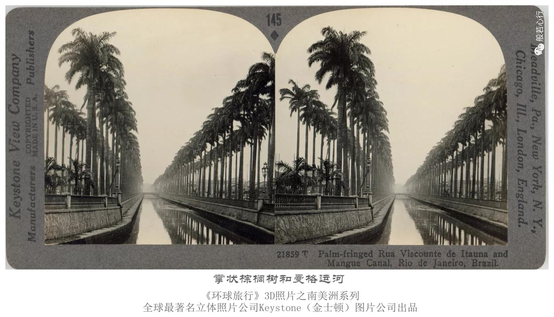 掌状棕榈树和曼格运河-1936年3D版《环球旅行》立体照片