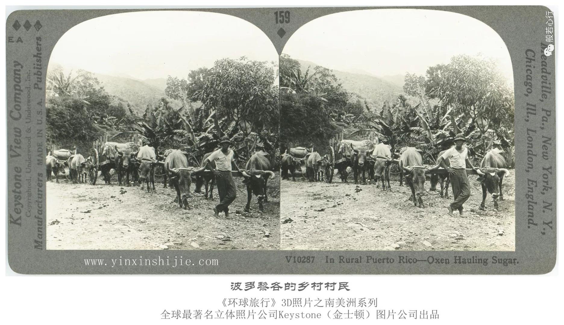 波多黎各的乡村村民-193