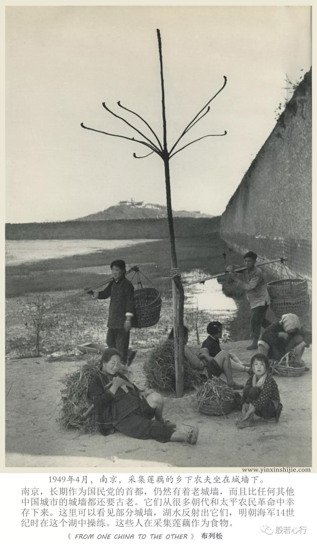 1949年4月,南京,采集莲藕的乡下农夫坐在城墙下-布列松