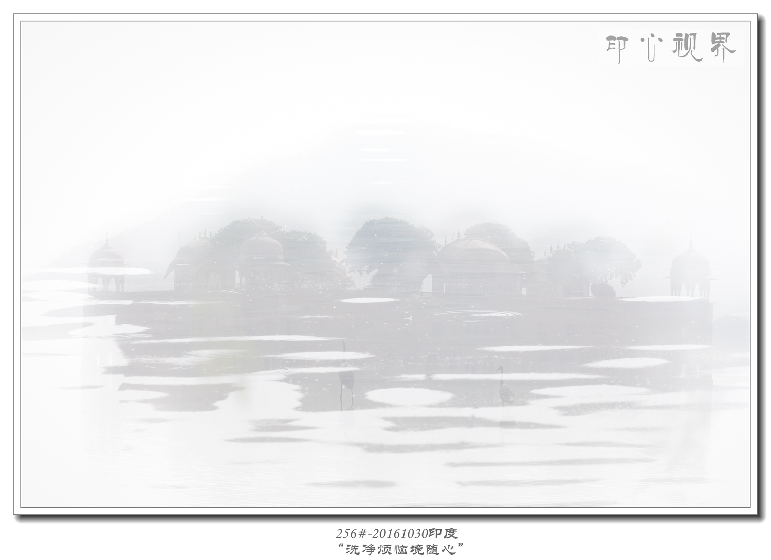 256#-20161030印度-“洗净烦恼