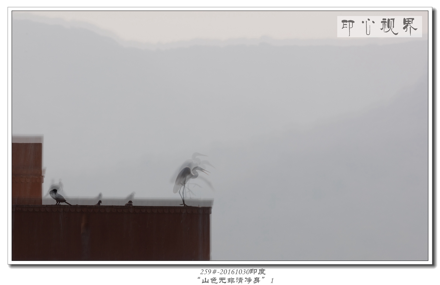 259#-20161030印度-“山色无非