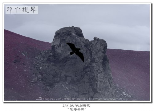 21#-20170126南极-“沧海余影