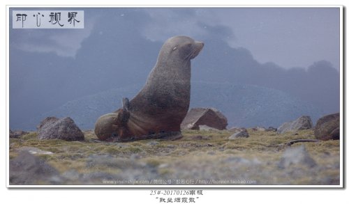25#-20170126南极-“默坐烟霞