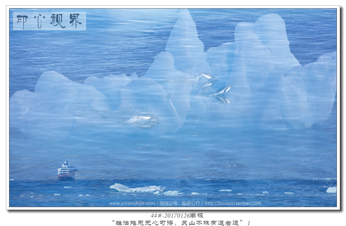 44#-20170126南极-“雄法难思