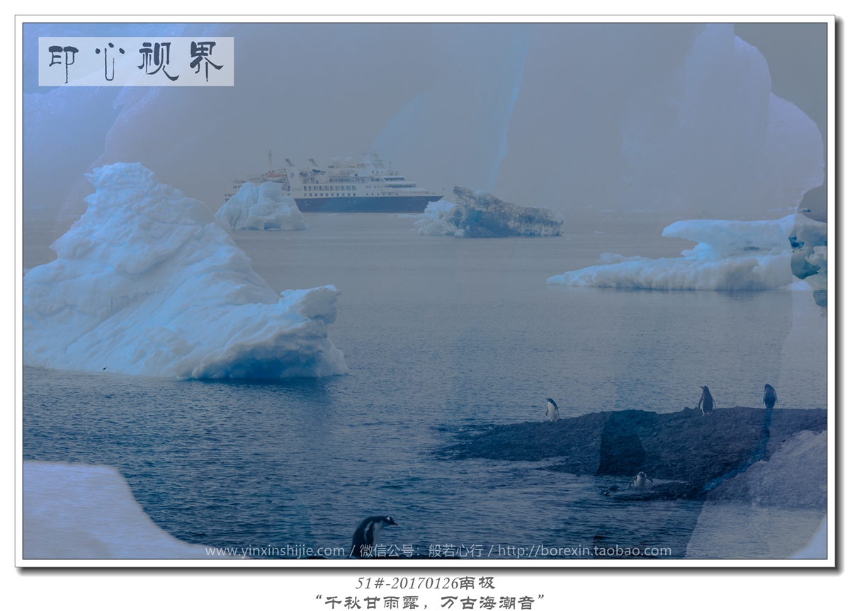 51#-20170126南极-“千秋甘雨