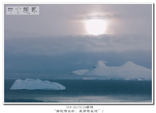59#-20170126南极-“静观得众