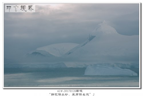 62#-20170126南极-“静观得众