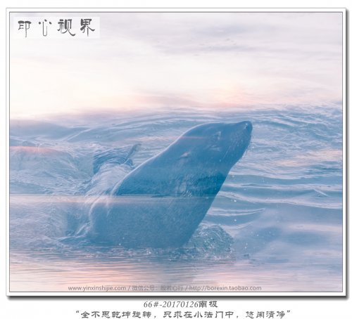 66#-20170126南极-“全不思乾