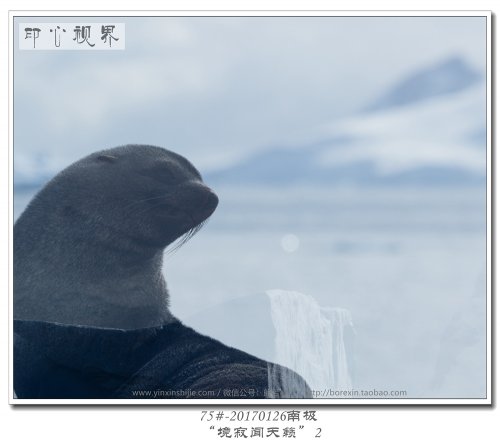 75#-20170126南极-“境寂闻天