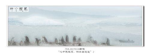 79#-20170126南极-“心中无起