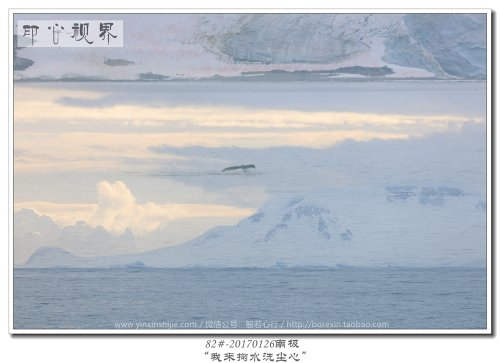82#-20170126南极-“我来掬水