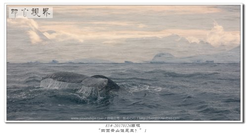 83#-20170126南极“四面云山