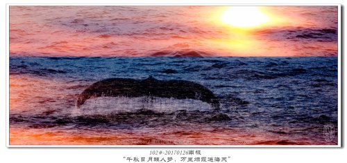 102#-20170126南极-“千秋日月
