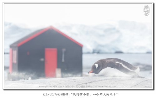 122#-20170126南极-“我想有个