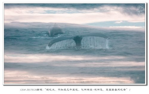 126#-20170126南极-“鲲之大，