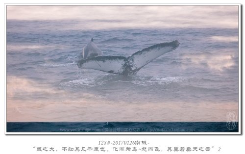 128#-20170126南极-“鲲之大，