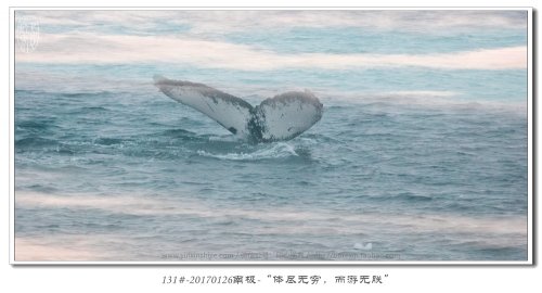 131#-20170126南极-“体尽无穷