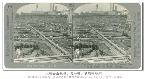 【立体环球1936】大联合畜牧场,芝加哥伊利诺斯州